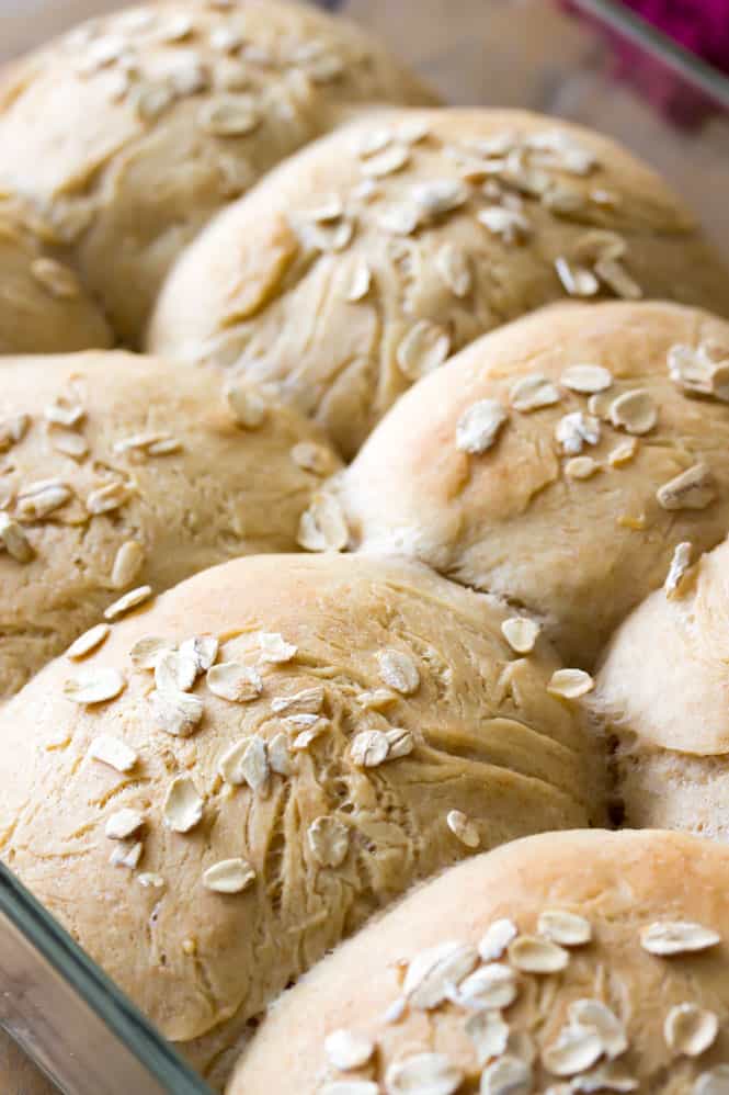 Honey Wheat Rolls out of the oven