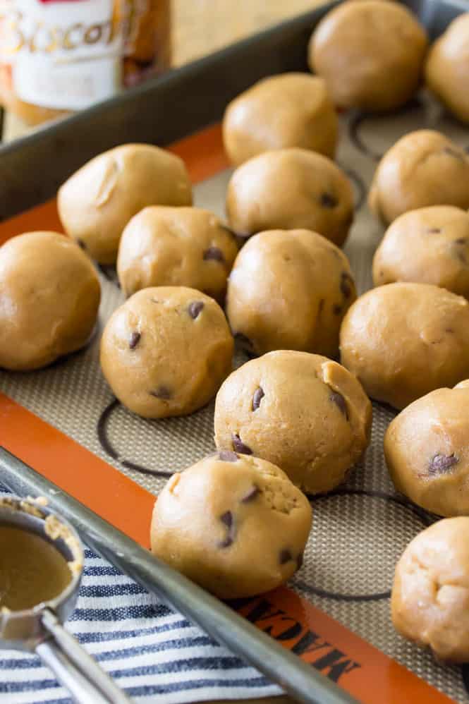 Balls of cookie butter chocolate chip cookie dough