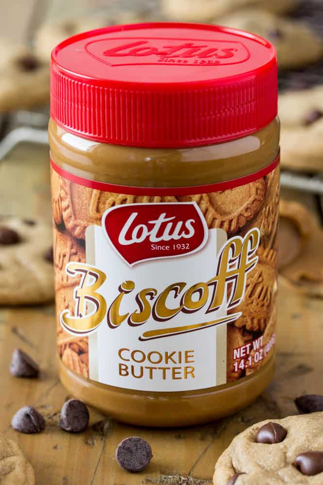 Creamy Biscoff Cookie Butter used in this recipe