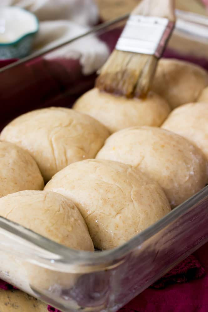 Honey Wheat Rolls brushed with honey and ready to go in to the oven